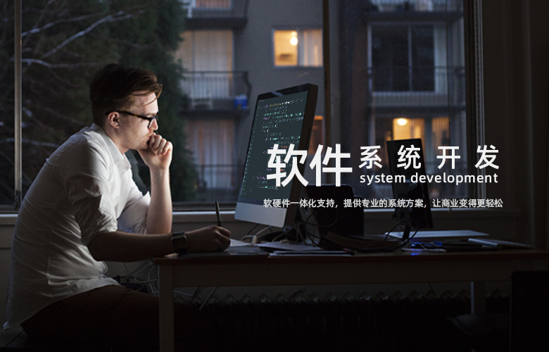 软件系统开发